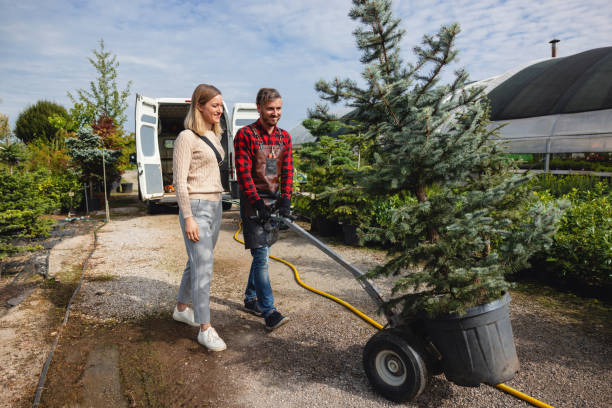 Best Weed Control  in Hales Corners, WI